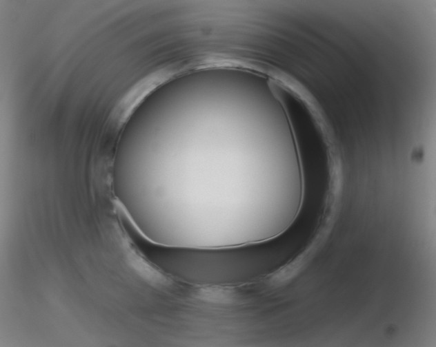 X0000116790809200912181053