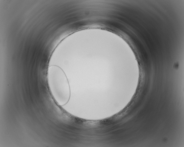 X0000116790810200912181053