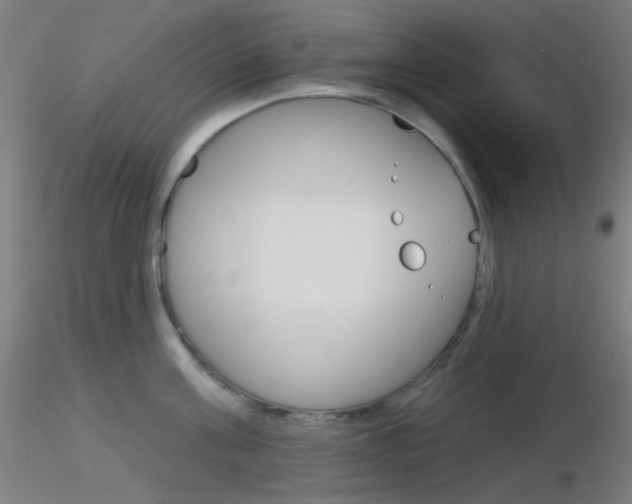 X0000116790811200912181053