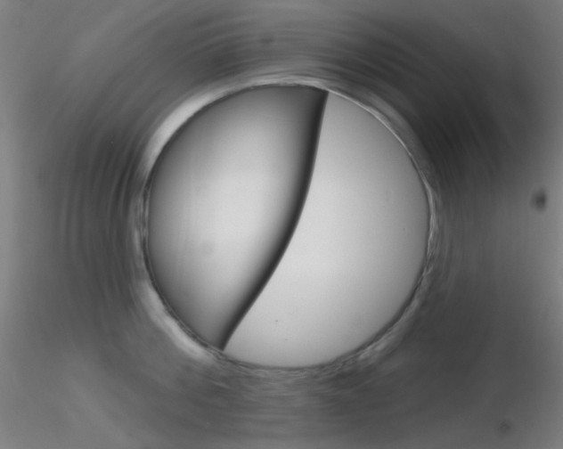 X0000116790812200912181053