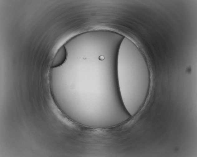 X0000116790814200912181053