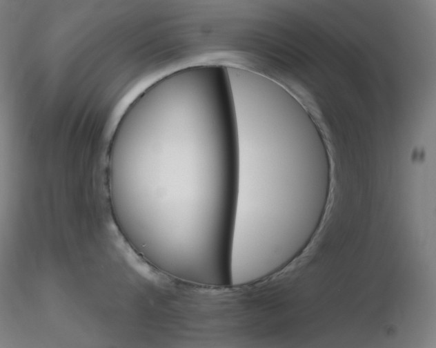 X0000116790816200912181053