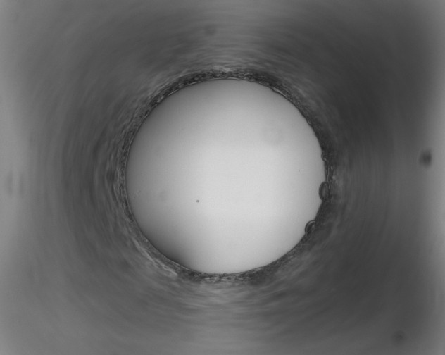 X0000116790817200912181052