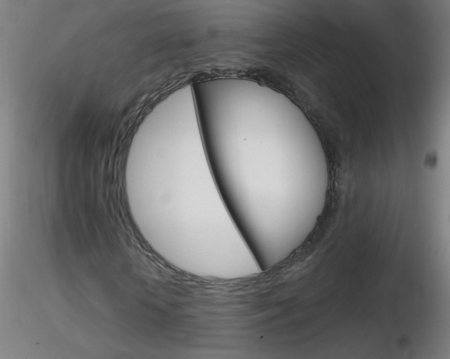 X0000116790818200912181052