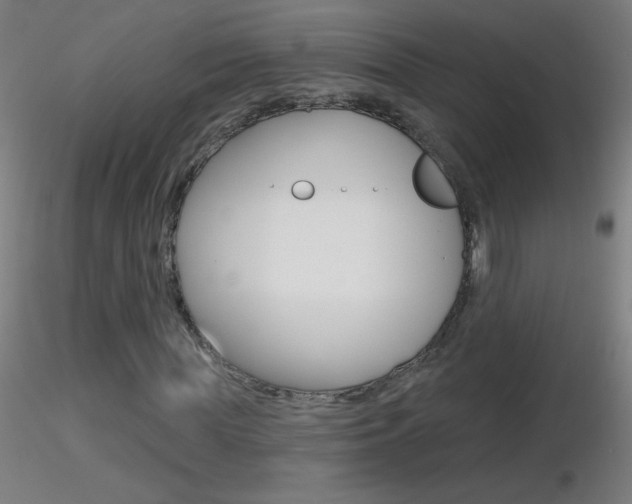 X0000116790819200912181052