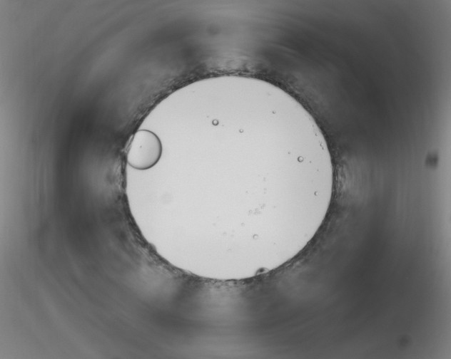 X0000116790820200912181052