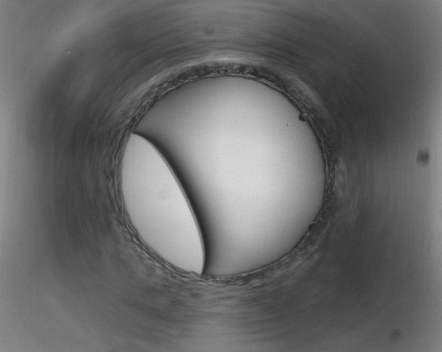 X0000116790821200912181052