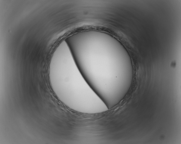 X0000116790822200912181052