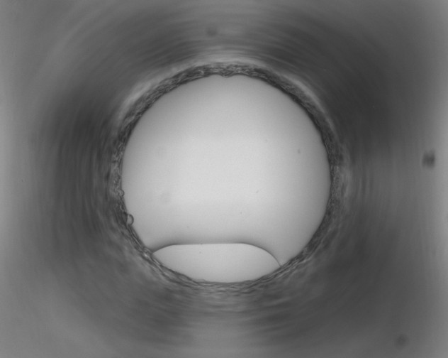 X0000116790823200912181052