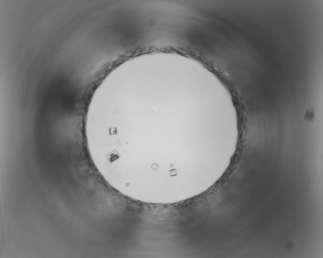 X0000116790824200912181052