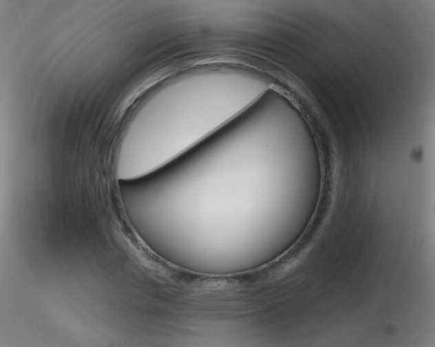 X0000116790826200912181052