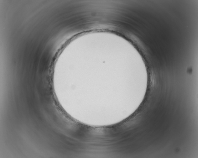 X0000116790828200912181052