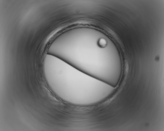X0000116790829200912181052
