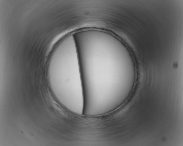 X0000116790830200912181052