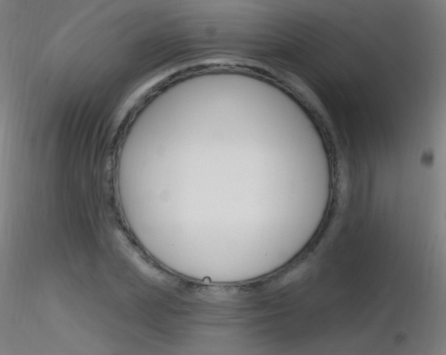 X0000116790831200912181052