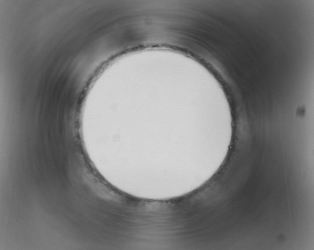 X0000116790832200912181052