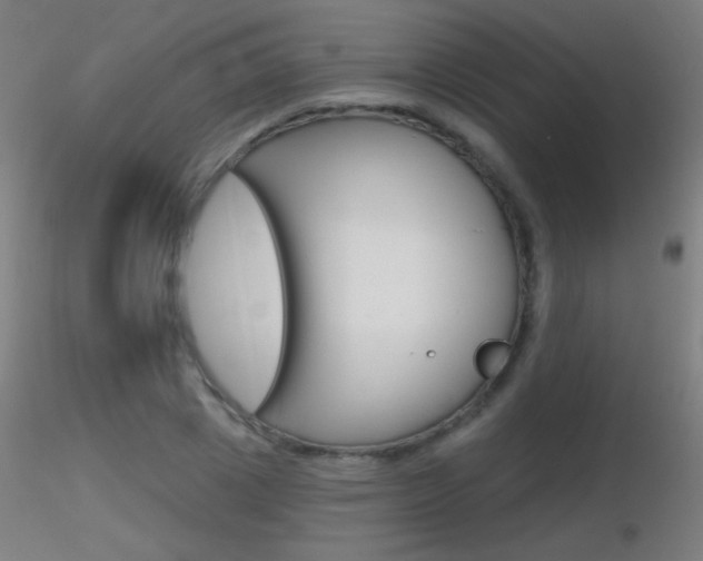 X0000116790833200912181052