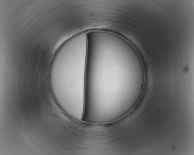 X0000116790834200912181052