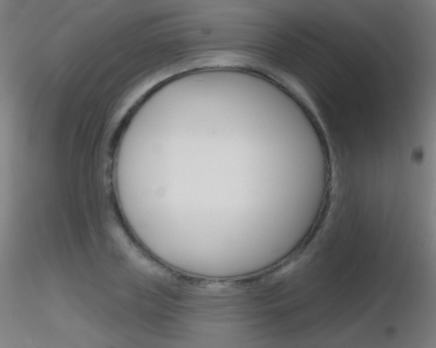 X0000116790835200912181052