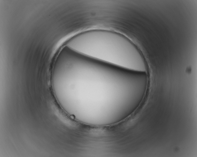 X0000116790838200912181052