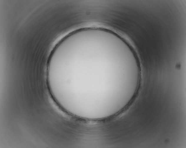 X0000116790839200912181052