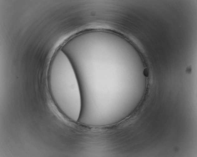 X0000116790840200912181052