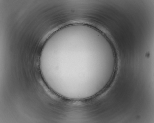 X0000116790841200912181052