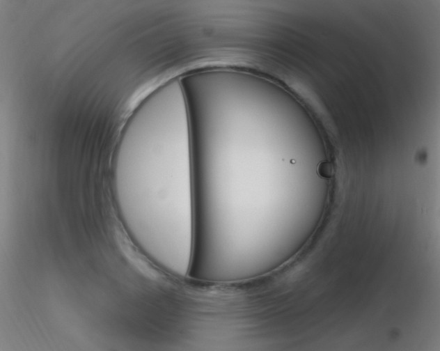 X0000116790842200912181052