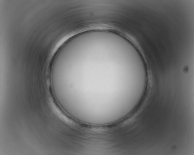 X0000116790843200912181052