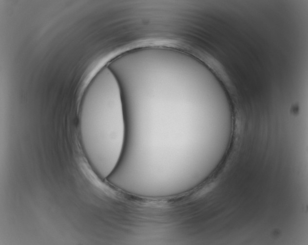 X0000116790844200912181052