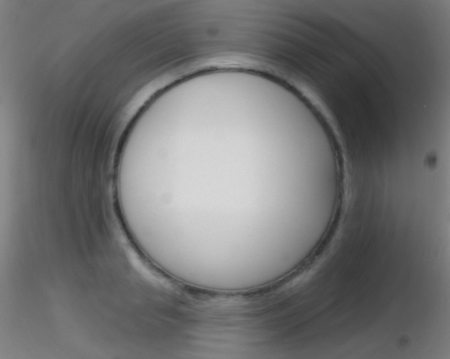 X0000116790845200912181052