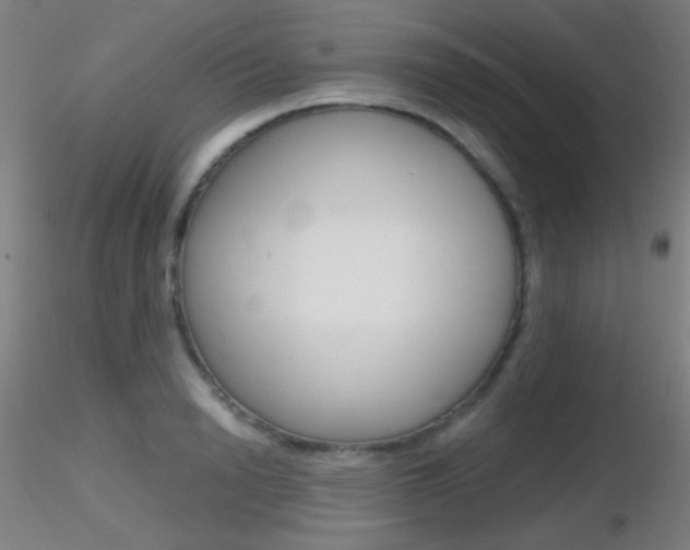 X0000116790846200912181052
