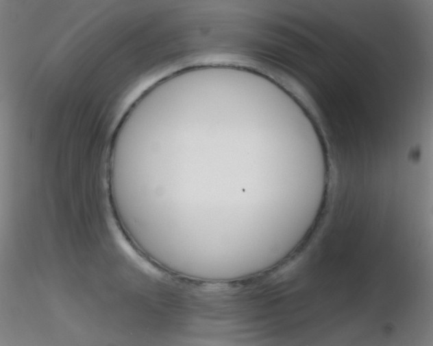 X0000116790847200912181052