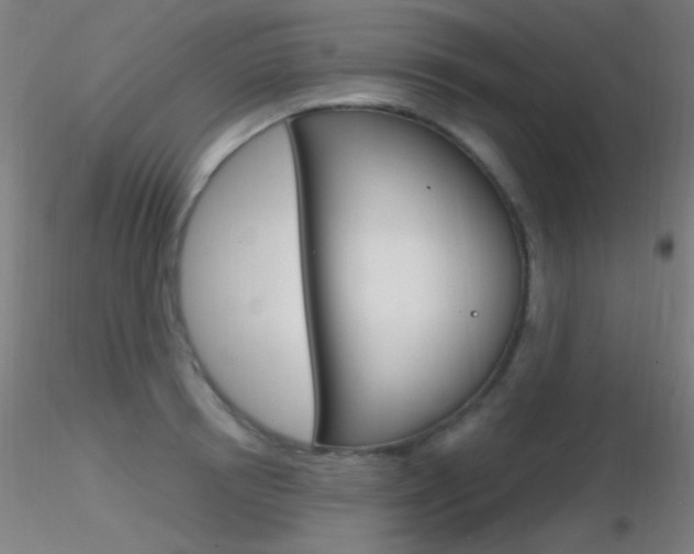 X0000116790850200912181052