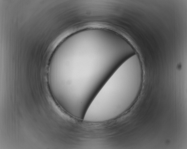 X0000116790853200912181052