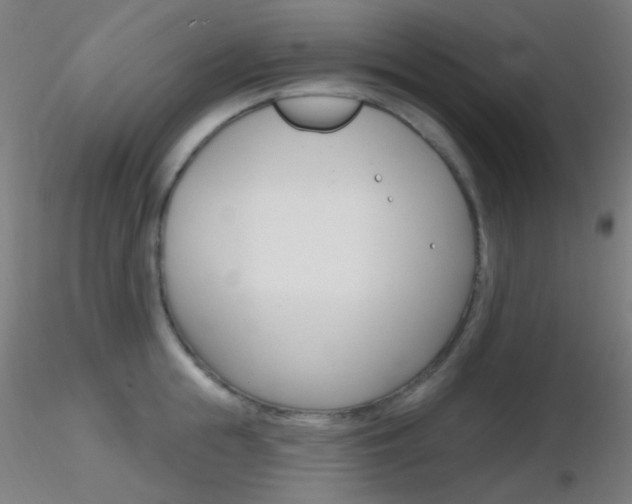 X0000116790855200912181053