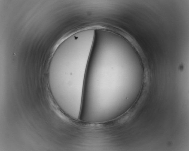 X0000116790858200912181053