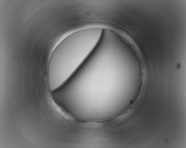 X0000116790860200912181053