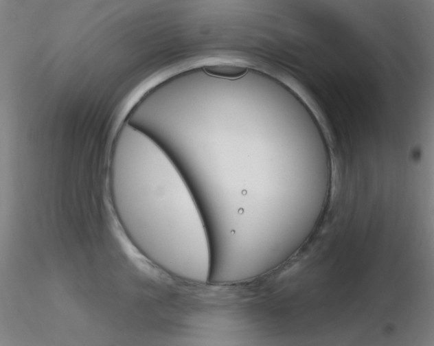 X0000116790861200912181053