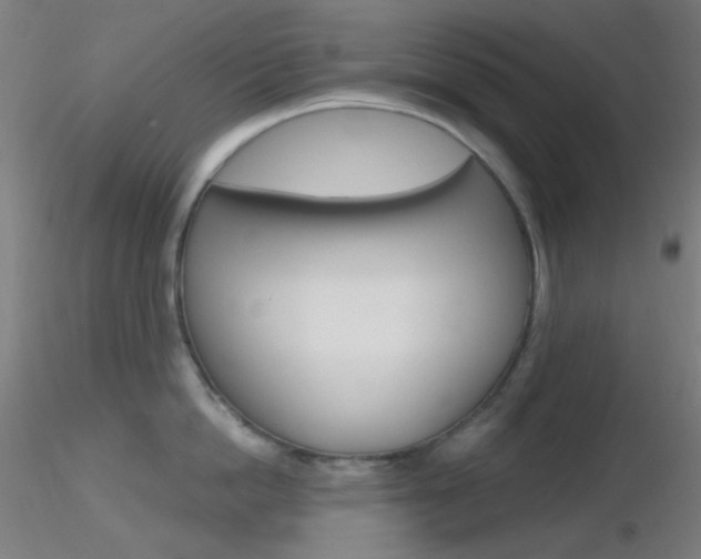 X0000116790862200912181053
