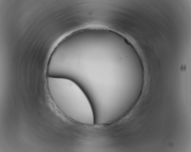 X0000116790864200912181053
