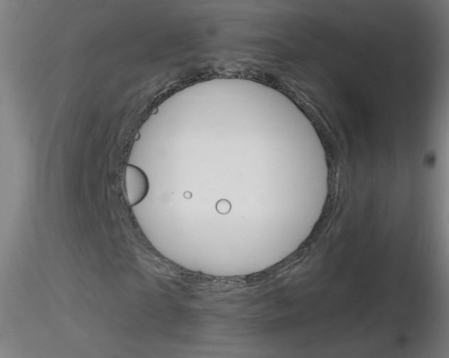 X0000116790865200912181052