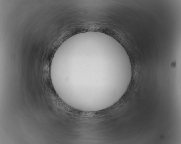 X0000116790866200912181052