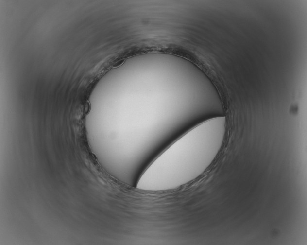 X0000116790867200912181052