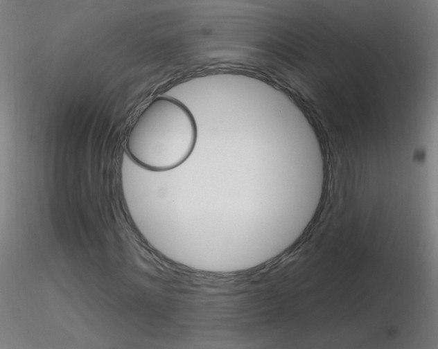 X0000116790868200912181052