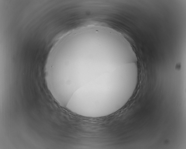 X0000116790869200912181052