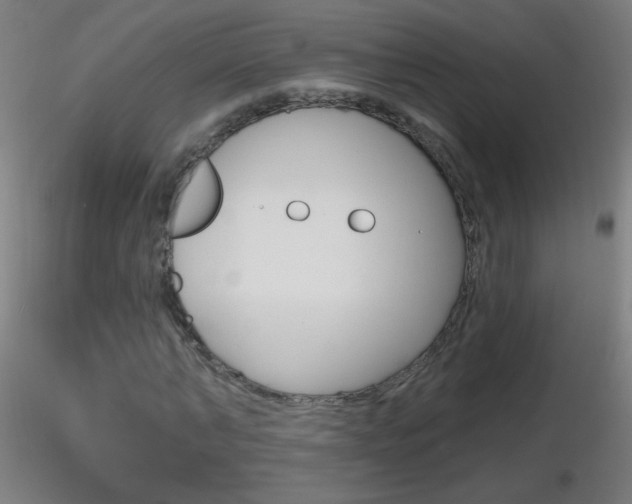 X0000116790870200912181052