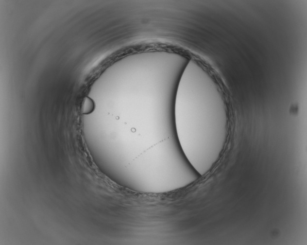 X0000116790871200912181052