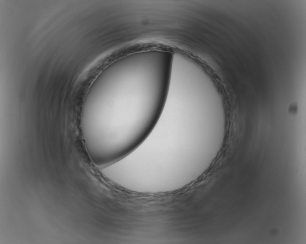 X0000116790872200912181052