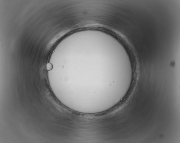 X0000116790873200912181052